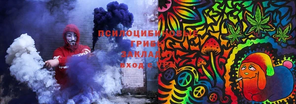 хмурый Нефтекумск