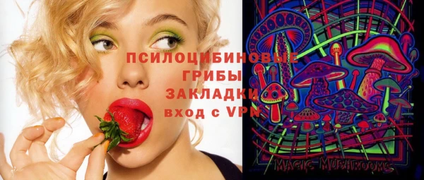 прущие крисы Няндома