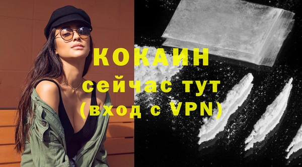 хмурый Нефтекумск