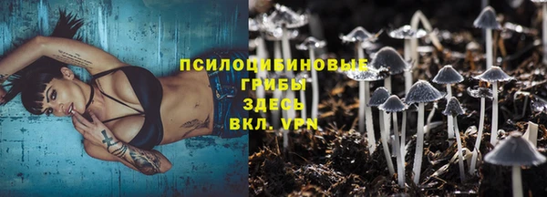 СК Нефтегорск