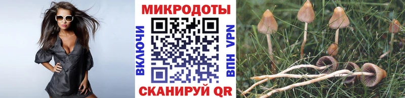 Псилоцибиновые грибы Cubensis Купить где Алупка